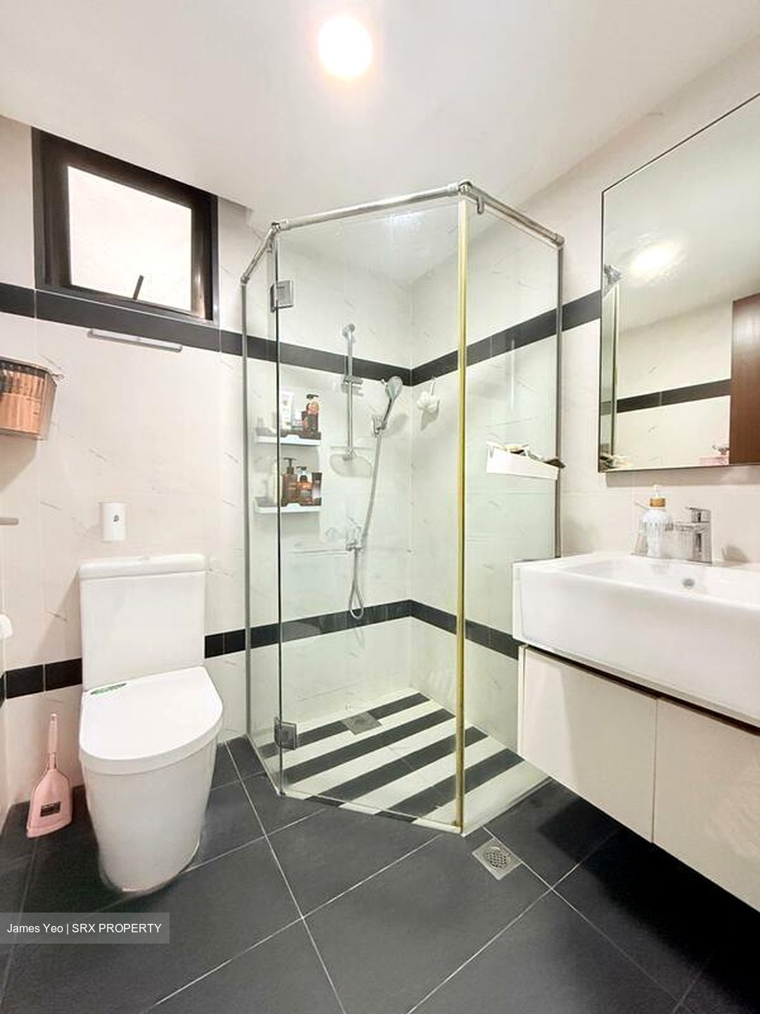 Symphony Suites (D27), Condominium #571825351